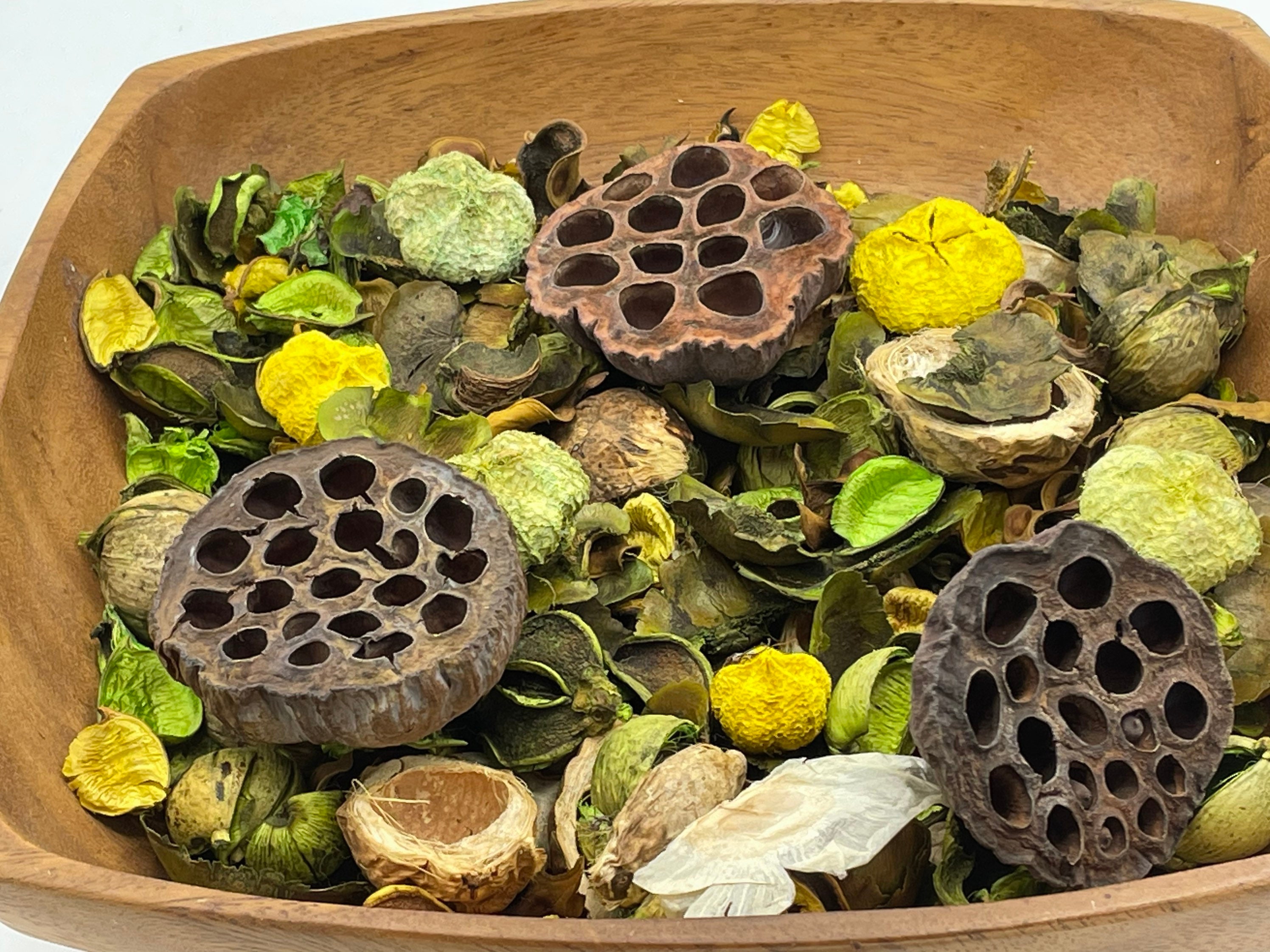 Coconut Petals Decorative Potpourri Seed Pod Coconut Petals Decorative Potpourri Seed Pod