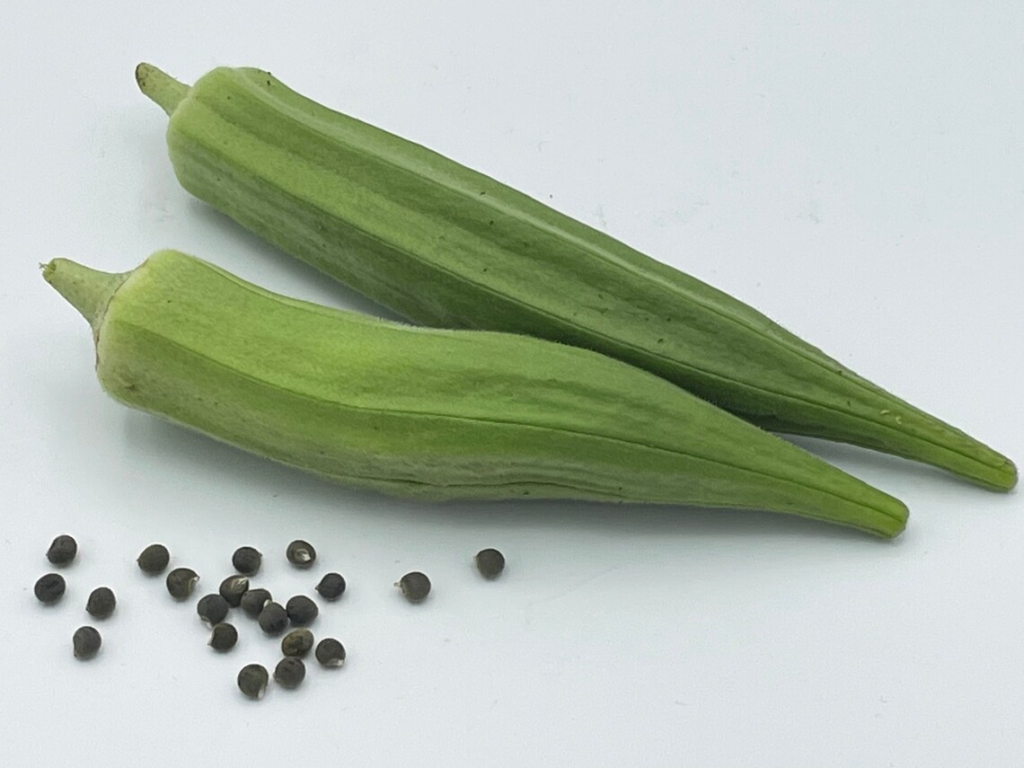 Heavy Hitter Okra Seeds Productive Variety Texasgrown With Etsy