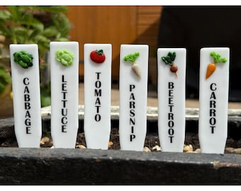 May include: Six white garden markers with 3D vegetable toppers. The markers are labelled with the names of the vegetables: Cabbage, Lettuce, Tomato, Parsnip, Beetroot, and Carrot. The markers are placed in a dark container.