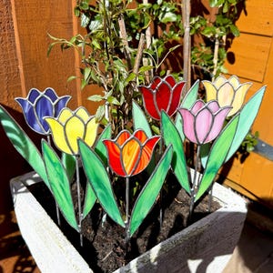 May include: A set of six stained glass tulips in a variety of colours, including blue, yellow, red, orange, and pink. The tulips are arranged in a planter with green leaves and are displayed against a wooden background.