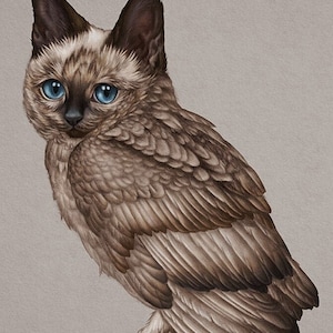Mini Print 5.5 x 8.5&quot; - Coffee the Meowl