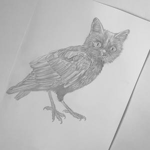 Spruce the Meowl Original Drawing - Etsy