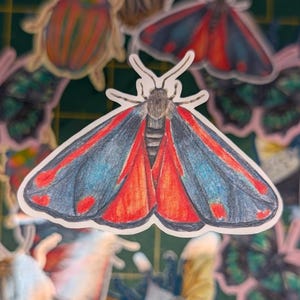 May include: A die-cut sticker featuring a detailed illustration of a moth with dark blue-grey wings, vibrant red markings, and a central grey body. The moth is depicted with its wings spread wide, showcasing a symmetrical pattern of red and blue.