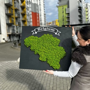 Benutzerdefinierte Mooskarte jedes Landes, kundenspezifische Design-Wandbehang-Mooskarte, stabilisierte Moos-Weltkarte für Wandkunst, Weltkarte mit Rentiermoos
