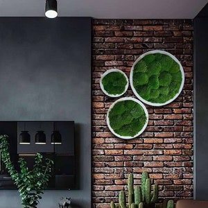 Round moss wall art, Natural live moss wall decor, Decorative greenery home decor, Large circle moss wall art, Moss wood panel, Moss plant