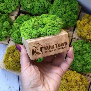 Personalisierter Mosswürfel aus Holz, individuelles Eco Decor Geschenk, Schreibtischzubehör mit konserviertem Rentiermoos, Pflanztopf aus Holz, grünes Tischdekor