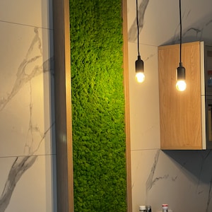 Green Reindeer Moss Wall Panel, Vertical Garden Decor, Stabilized Moss Art, Long Living Moss Panel, Natural Indoor Wall Landscaping Moss Art