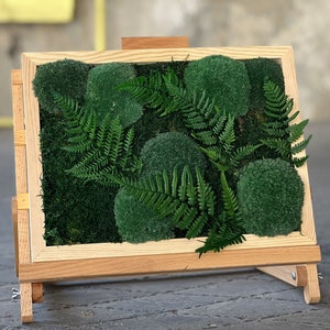 Framed Moss, Greenery Moss Decor with Fern Leaves, Live Moss Wall Art, Moss Wall Hanging, Living Wall, Moss Wall Art, Wall Hanging Decor