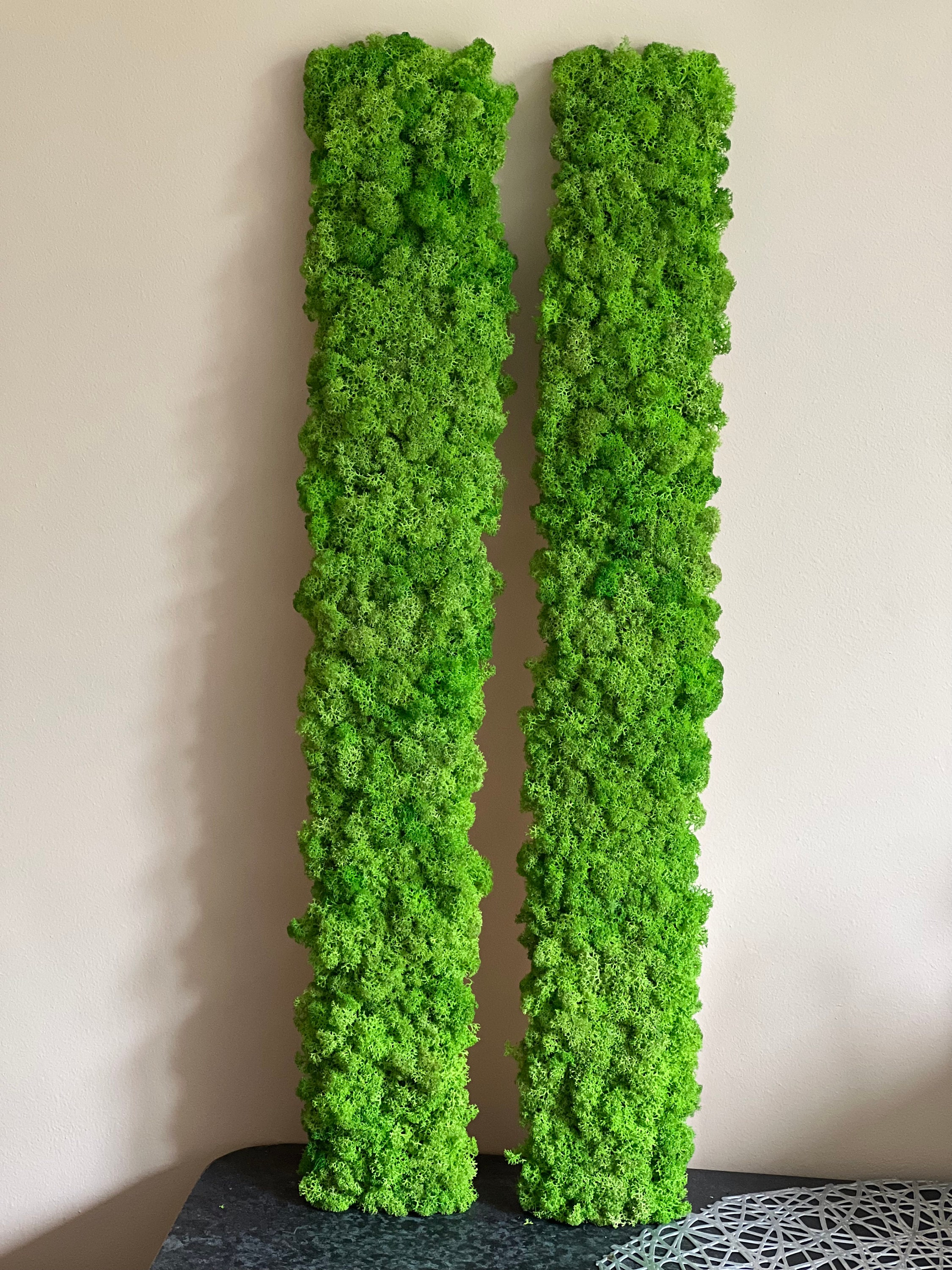 Premium Live Fresh Living Green Moss Growing on LOG Mossy Covered Wood  Branch Stick Terrarium Mossarium Supplies 30cm 