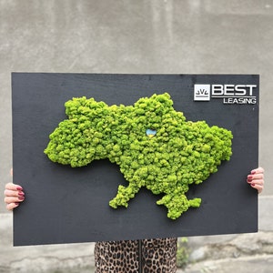 Ukraine Karte, Wanddekor mit stabilisiertem Moos, natürliche Wandkunst, 3D-Mooskarte, Rentiermooskarte, grünes Moos Landkarte der Ukraine, einzigartiges handgemachtes Geschenk