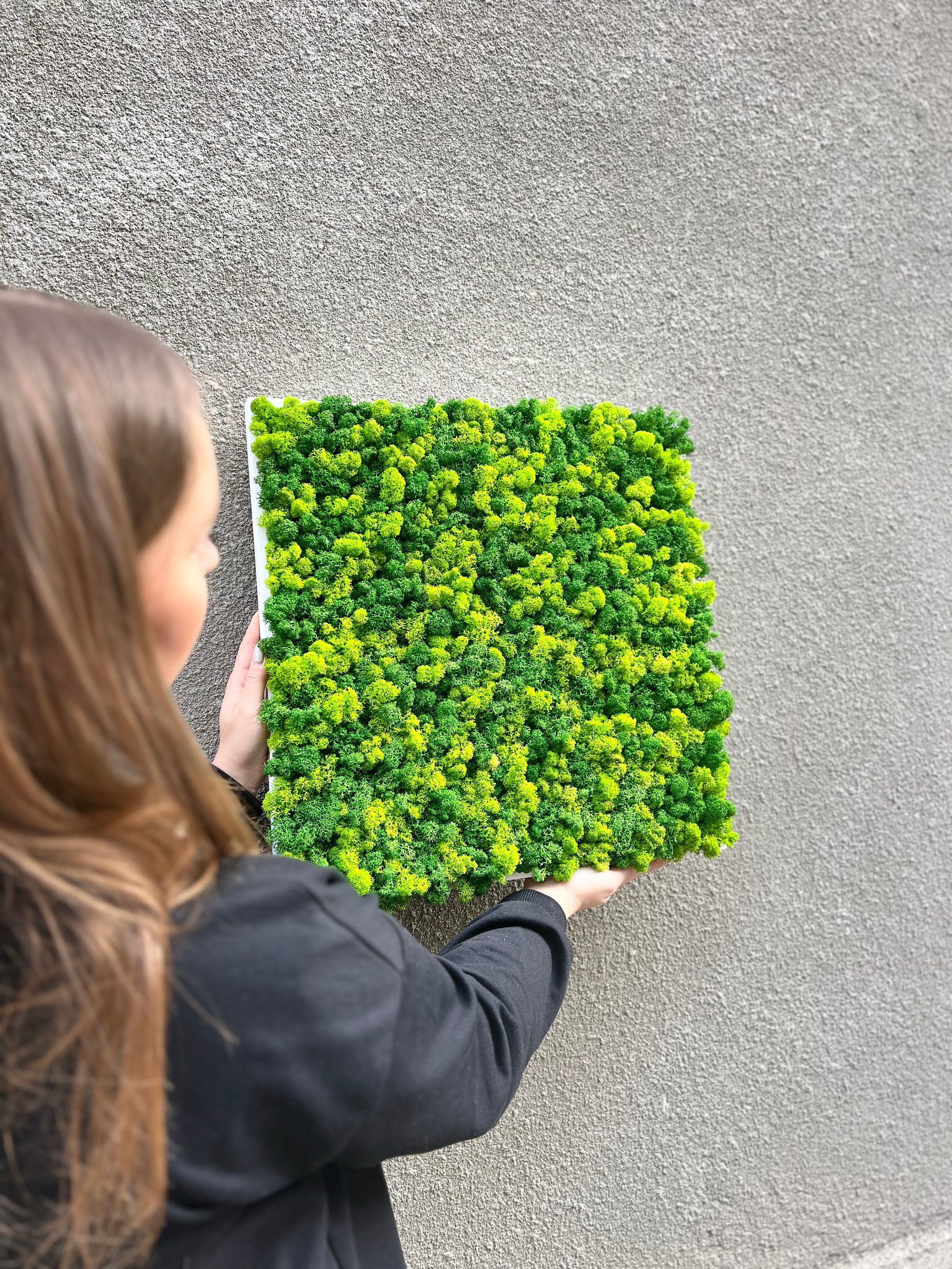 Moss Wall Panel Stabilized Moss Wood Framed Moss Decor Wall Photo Inspiration
