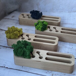 Organiseur de bureau en bois avec mousse vivante stabilisée, support pour stylos, décoration écologique avec mousse de renne, porte-cartes de visite gravés, organiseur de bureau