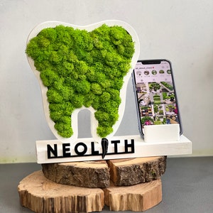Decorazione per denti per studio dentistico con muschio, porta biglietti da visita in legno, supporto da tavolo per denti personalizzato, organizer per denti inciso personalizzato