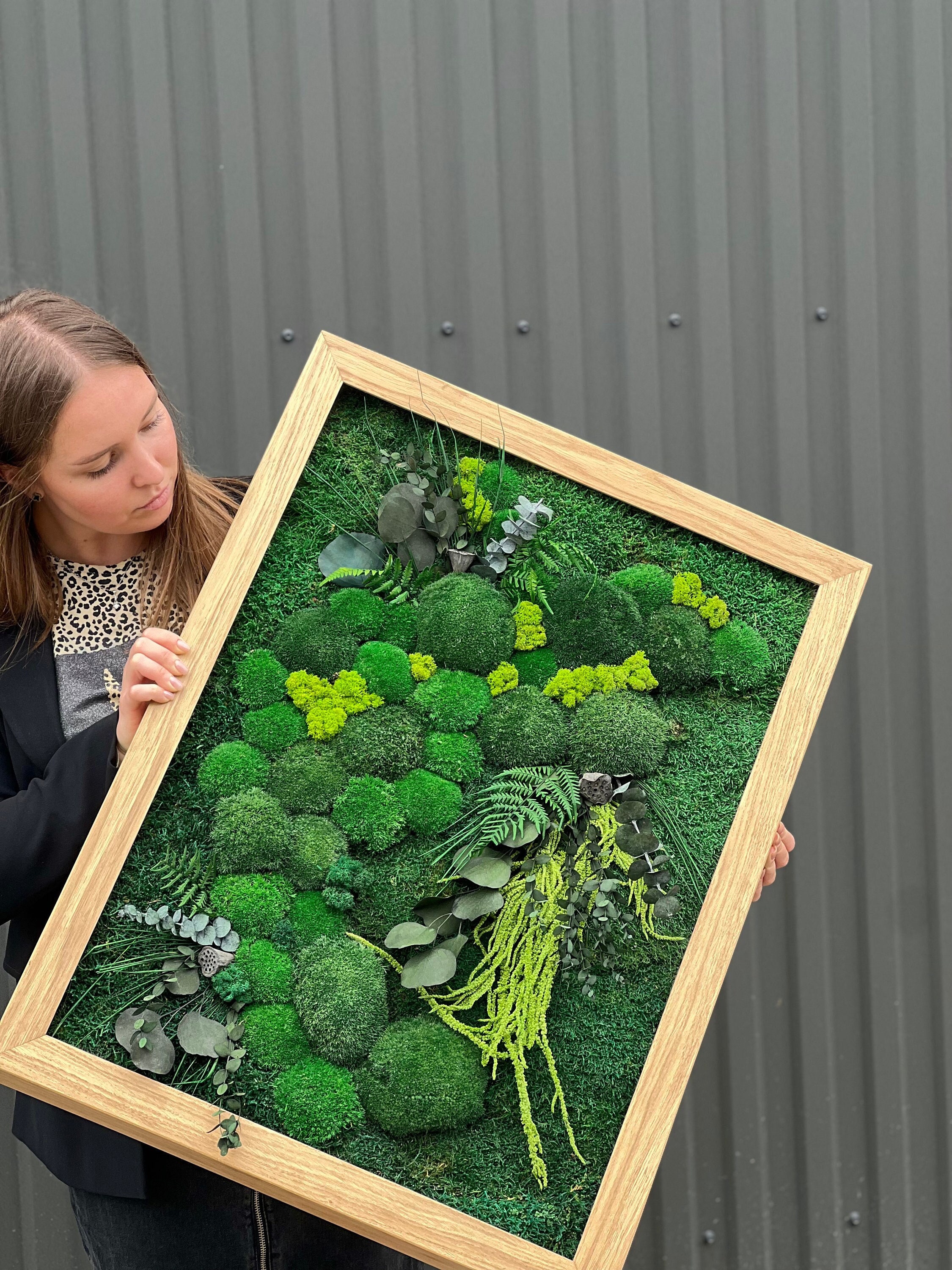 Photo inspiration: Fresh Look at Moss Wall Art Eco Friendly Living Wall Panel Real Preserved