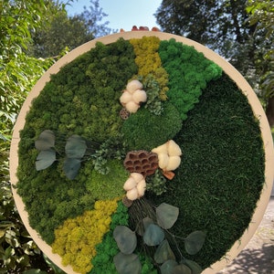 Moss wall art, Live moss wall art, Framed moss art, Preserved moss, Moss wall hanging, Living wall