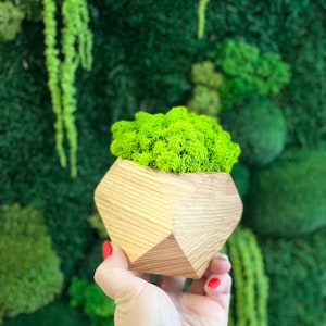 Holztopf mit konserviertem Moos, rustikales Hausbürodekor, Mutter Geschenkidee, künstliche Pflanzen in Töpfen, konserviertes Moos im Topf, Live Moss Bowl Decor