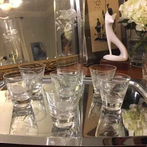 Vintage Mid Century Modern Etched buy Rose Patterned Martini/Cocktail Pitcher with Eleven Glasses