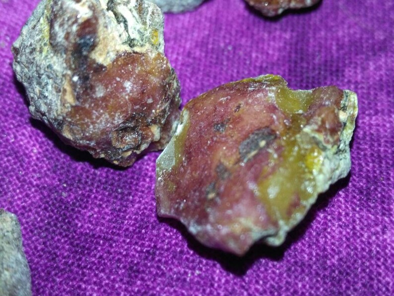 Jack Pine Resin 7g. Etsy