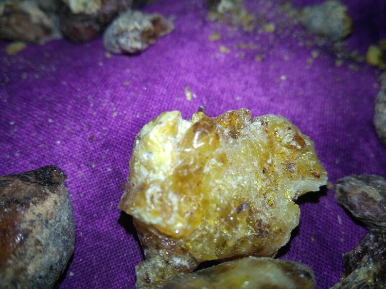 Jack Pine Resin 7g. Etsy