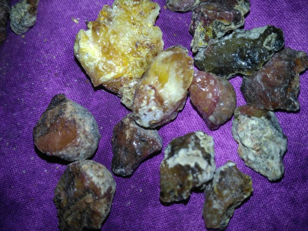 Jack Pine Resin 7g. Etsy