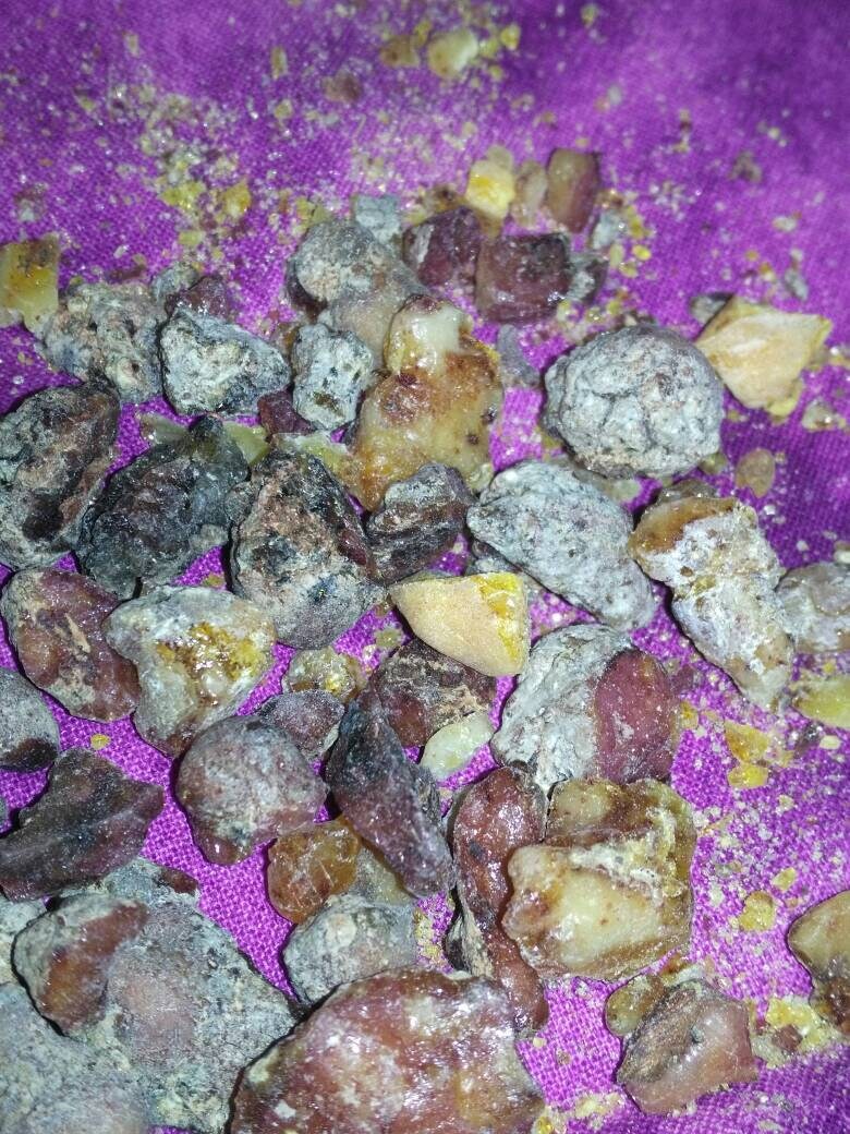 Jack Pine Resin 7g. Etsy