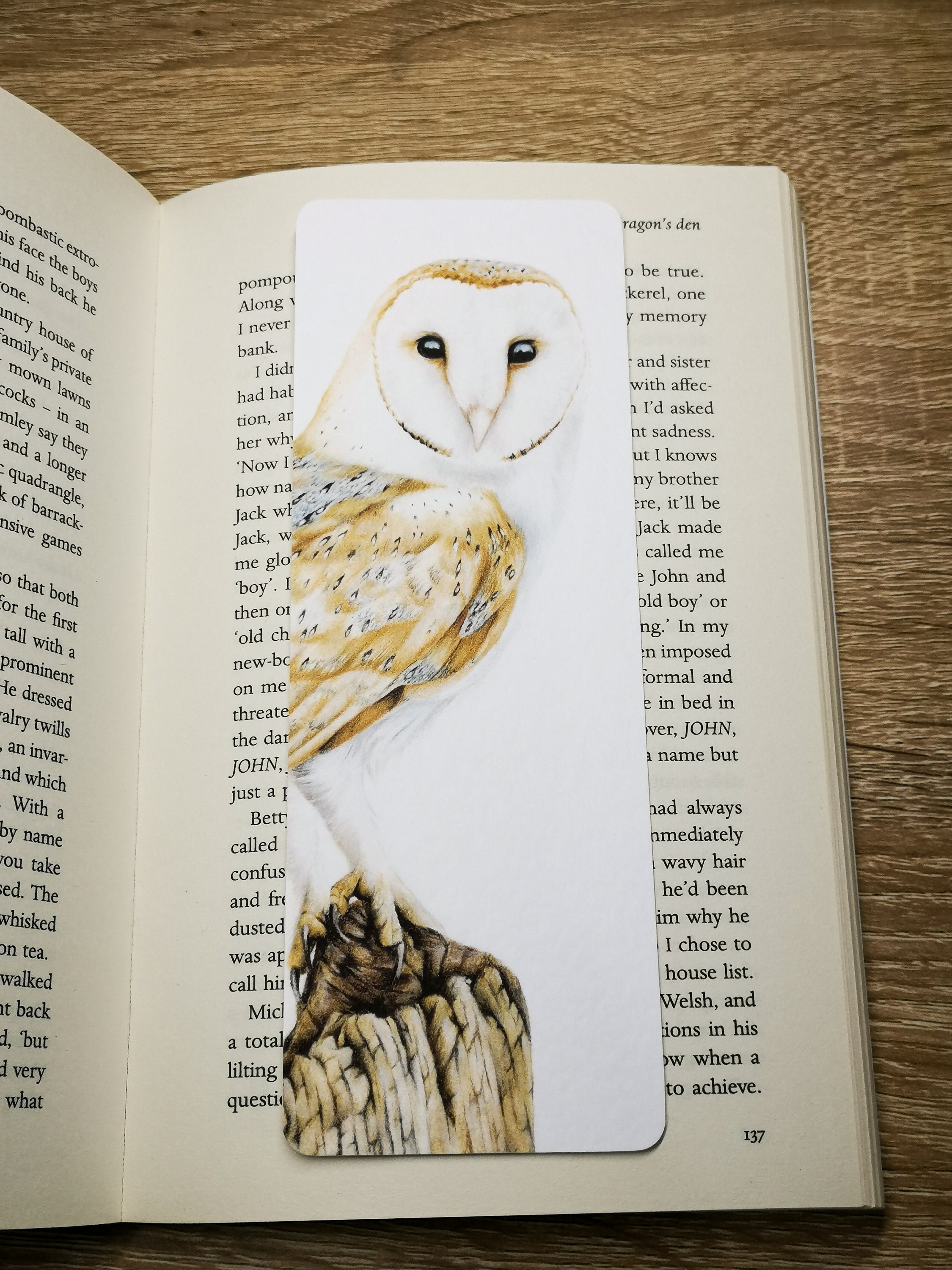 Barn Owl Bookmark / Illustrated Double Sided Bird Book Mark / picture
