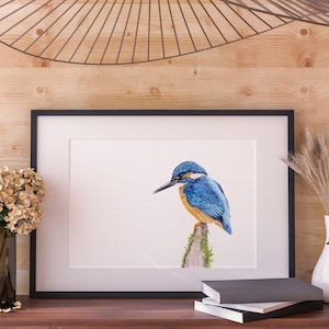 Kingfisher Giclée Fine Art Print / A3 A4 A5 Country Home Décor / Bird Wall Art