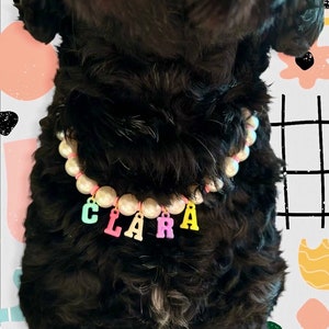 Pearl Necklace for Dog, Custom Pet Dog or Cat Beaded Necklace, Pearls, Pet Jewelry, Pet Gifts, Birthday Gift for Dogs, Birthday Gift for Cat