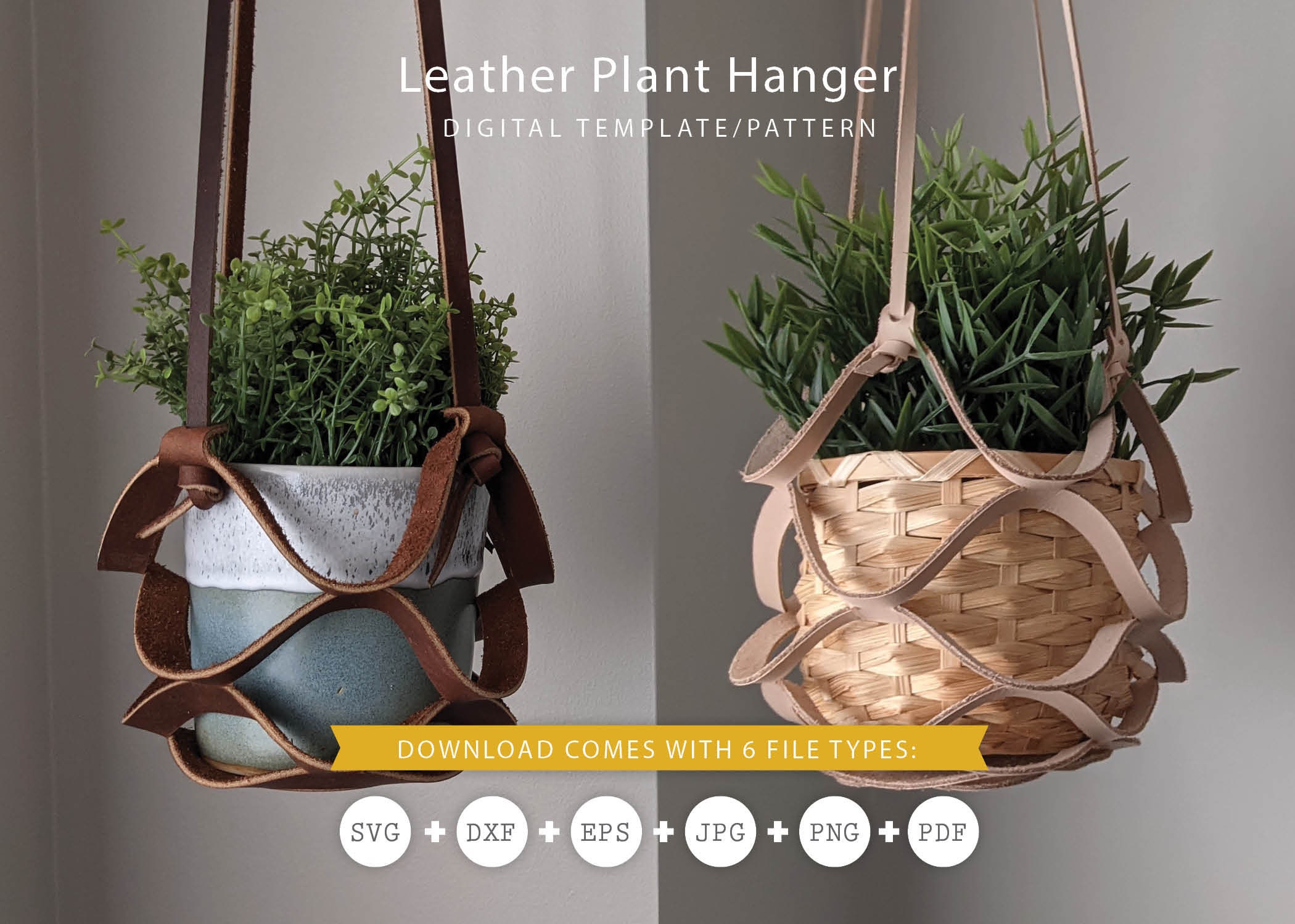 hanging ivy plants indoor Variegated English Ivy Plant in Hanging Basket – Lush, Air-Purifying  Indoor/Outdoor Greenery main image 0