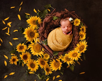 sunflower newborn photos