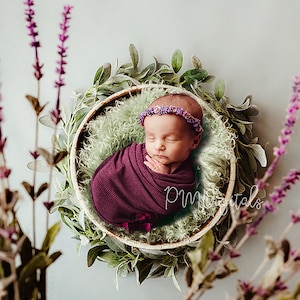 Newborn Digital Backdrop Flowers Lavender ,Newborn Photography Background,  Sage girl, flowers, Lavender Digital Backgrounds