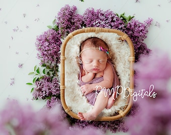 May include: A newborn baby girl is sleeping in a wicker basket lined with white fur. The basket is surrounded by purple lilac flowers. The baby is wearing a purple swaddle and a headband with a rainbow bow.