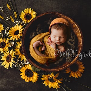 Newborn Digital Backdrop Sunflowers, Earthly ,Newborn Photography Background, sunflower nest, flowers, fall digital background