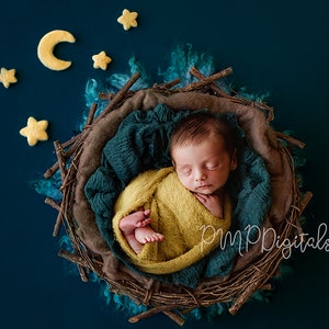 Digital Download Newborn, Fall Night Woodland digital, digital backdrop, Moon, nest, Digital Backgrounds for Newborn Photography
