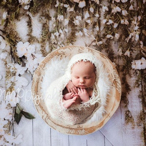 Newborn Digital Background Spring Flowers Garden, flowery digital background, digital backdrop, garden, flowers,