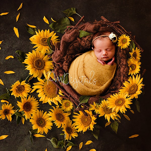 Newborn Digital Backdrop Sunflowers ,Newborn Photography Background, Sunflower nest, Sunflower Digital Backgrounds