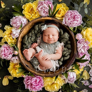 Digital Download Newborn, Flower digital, digital peonies, digital backdrop, yellow pink peonies,Digital Backgrounds for Newborn Photography