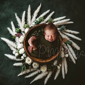 Digital Download Newborn, digital background, digital backdrop, green, boho, forest, Digital Backgrounds for Newborn Photography