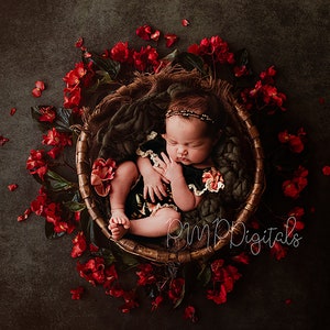 Digital Download Newborn, Red Flower digital, digital background, digital backdrop, flower red, nest, Digital Backgrounds for Newborn Photo