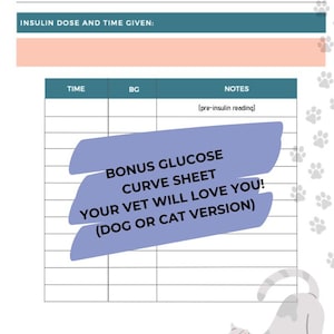 Cat Insulin & Glucose Tracker | Diabetic Pet Medication Monitoring - Etsy