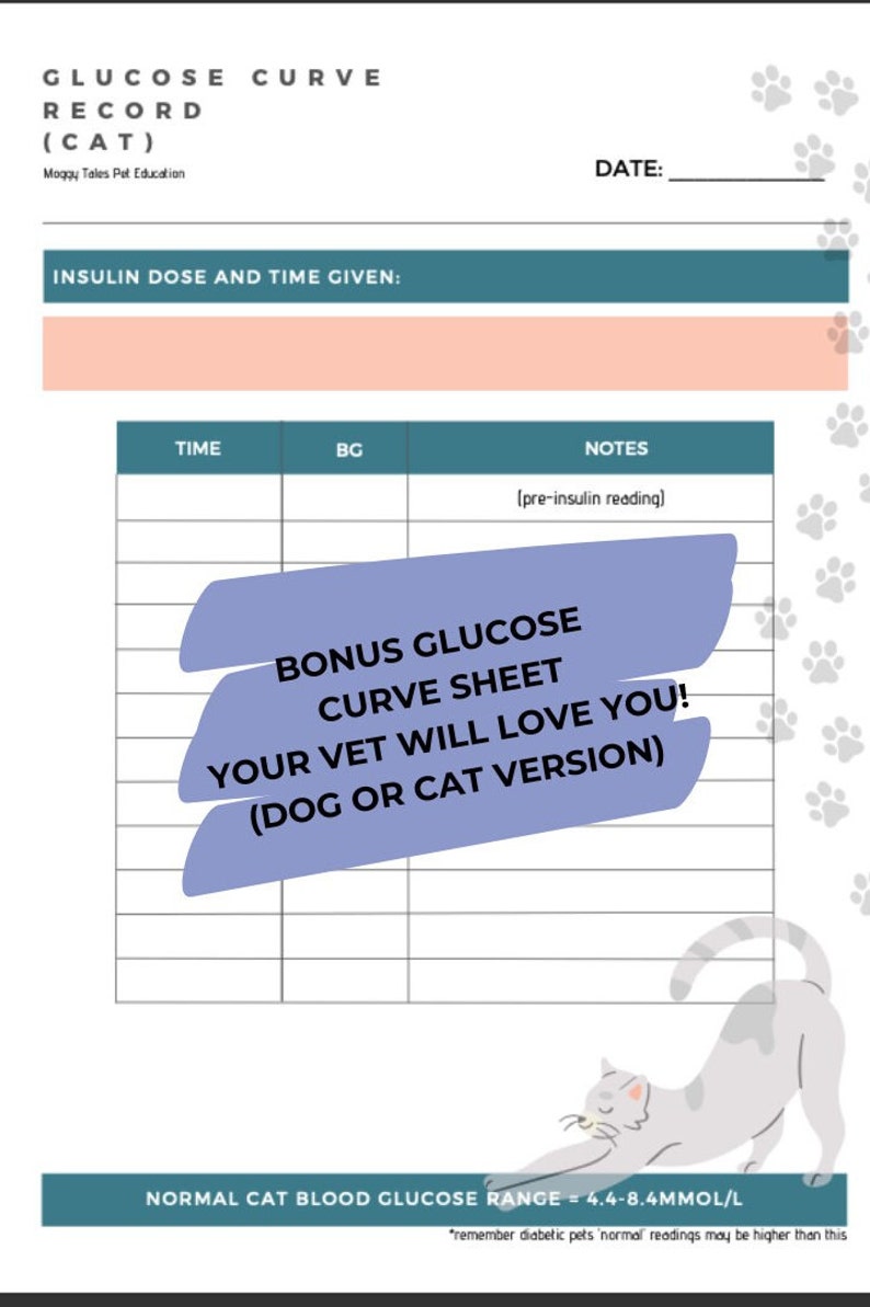 Cat Insulin Glucose Tracker Diabetic Pet Medication Monitoring Etsy