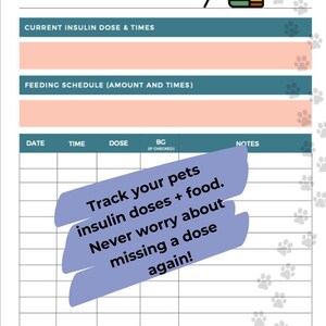 Cat Insulin & Glucose Tracker | Diabetic Pet Medication Monitoring - Etsy