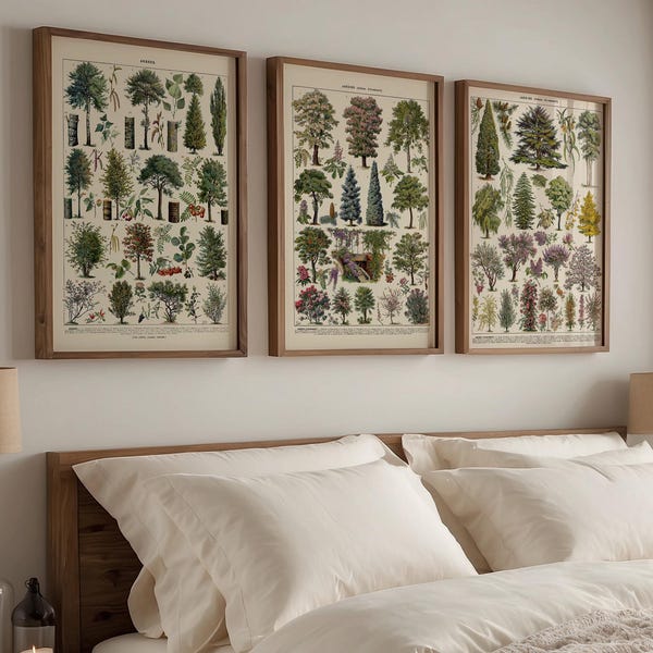 Vintage Tree Species Print Set, Antique Botanical Forest Wall Art (Set of 3)