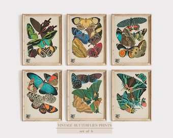 Vintage Butterfly Prints, Butterfly Print Set, Seguy Butterfly Prints, Art Nouveau, Butterflies Wall Art, Farmhouse Art, Collage, Print Sets