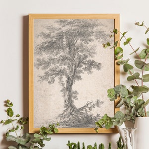 Moody Vintage Tree Drawing Print, PRINTED, Country Farmhouse Sketch, Antique Tree Wall Art, Housewarming Gift, Neutral Antique Drawing