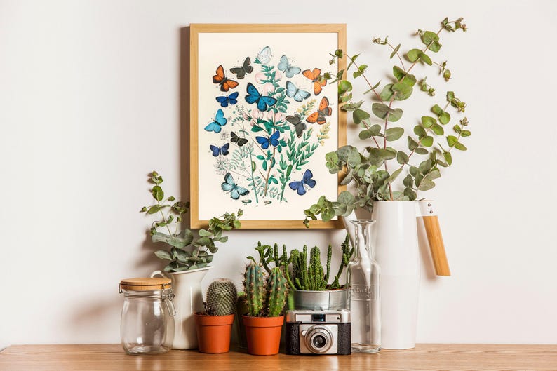 Vintage Butterfly Botanical Print Set, William Forsell Kirby, Set of 3 ...
