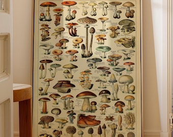 Vintage Mushroom Botanical Print – Adolphe Millot Chart Poster (Printed)