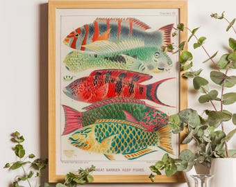 Barrier Reef Fishes Print, Botanical Illustration Poster