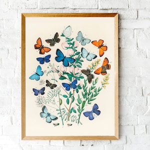 Vintage Butterfly Wall Art, Butterfly Art Prints, Butterfly Decor ...