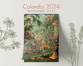 Calendrier mural botanique 2024, Calendrier Haeckel, Art mural tropical, Calendrier botanique, Calendrier A3, Illustration botanique, Cadeau de Noël